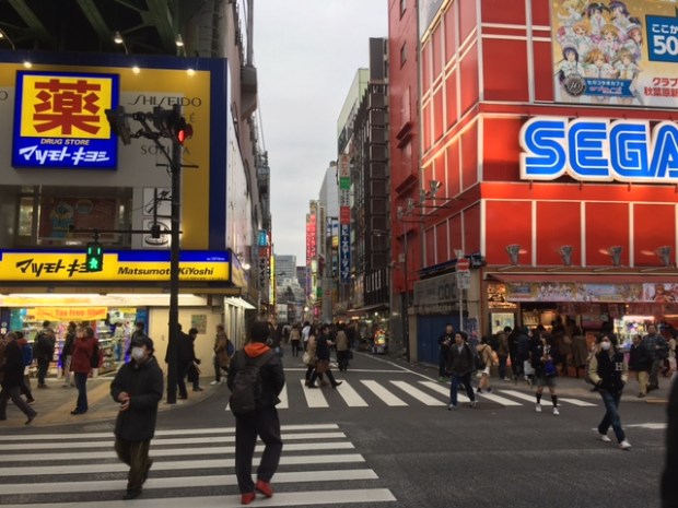 Akiba main area