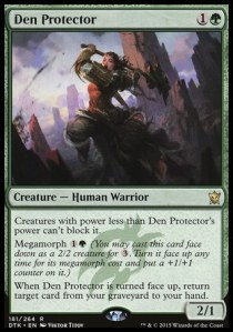 den-protector